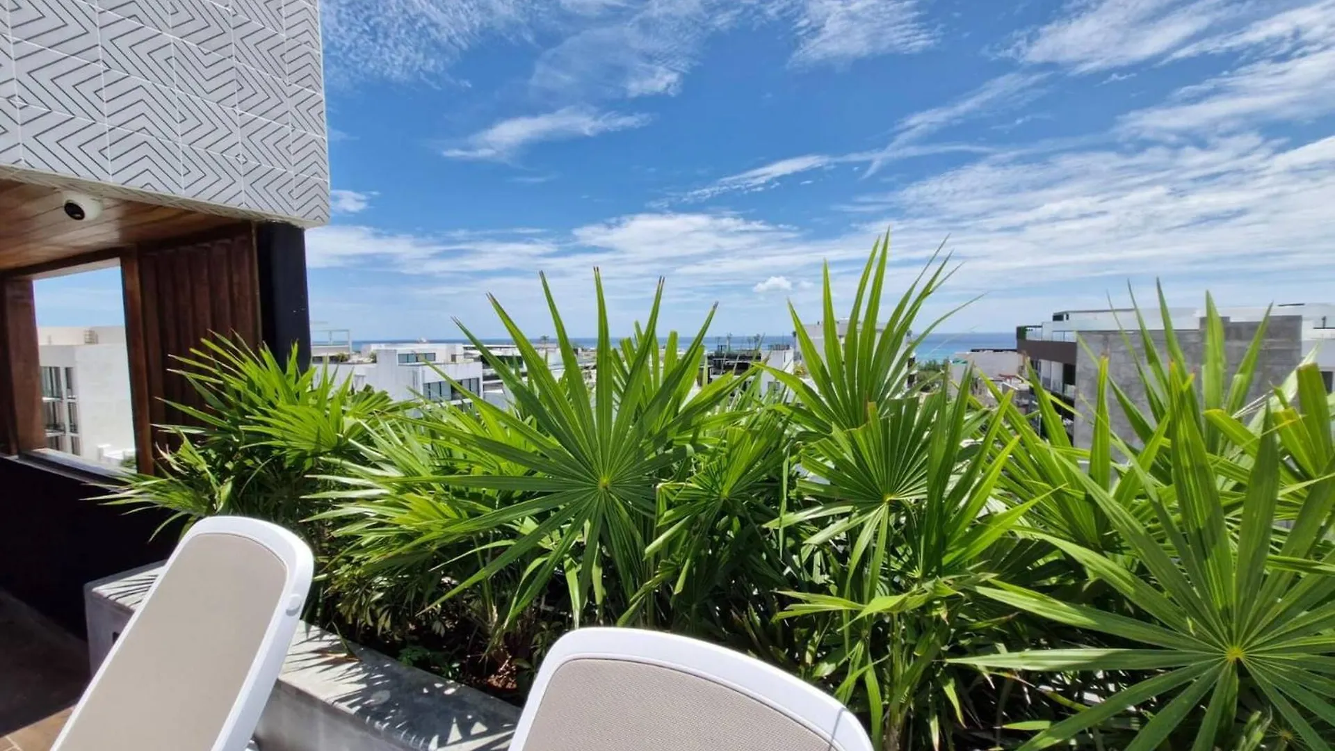 아파트 Super Cute Flat On 5Th Ave In Pdc Steps From Beach 신데 델 카르멘 멕시코